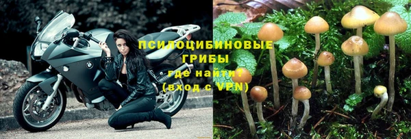 винт Алексеевка