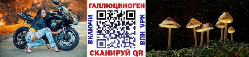цена наркотик  Нижний Ломов  Псилоцибиновые грибы прущие грибы 